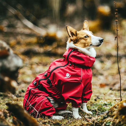 All-weather Waterproof Cool Dog Accessories Rain Coat